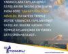 Temmuz Ayında Yeni bir Rekor